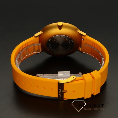 Zegarek Skagen Aaren Kulor SKW6510.jpg