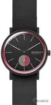 Zegarek męski Skagen Signature SKW6540 (1).jpg