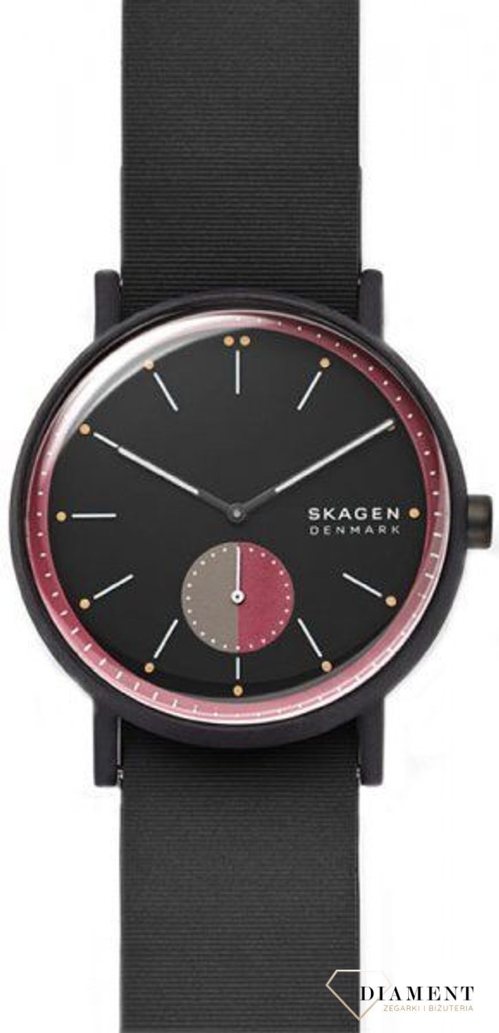Zegarek męski Skagen Signature SKW6540 (1).jpg