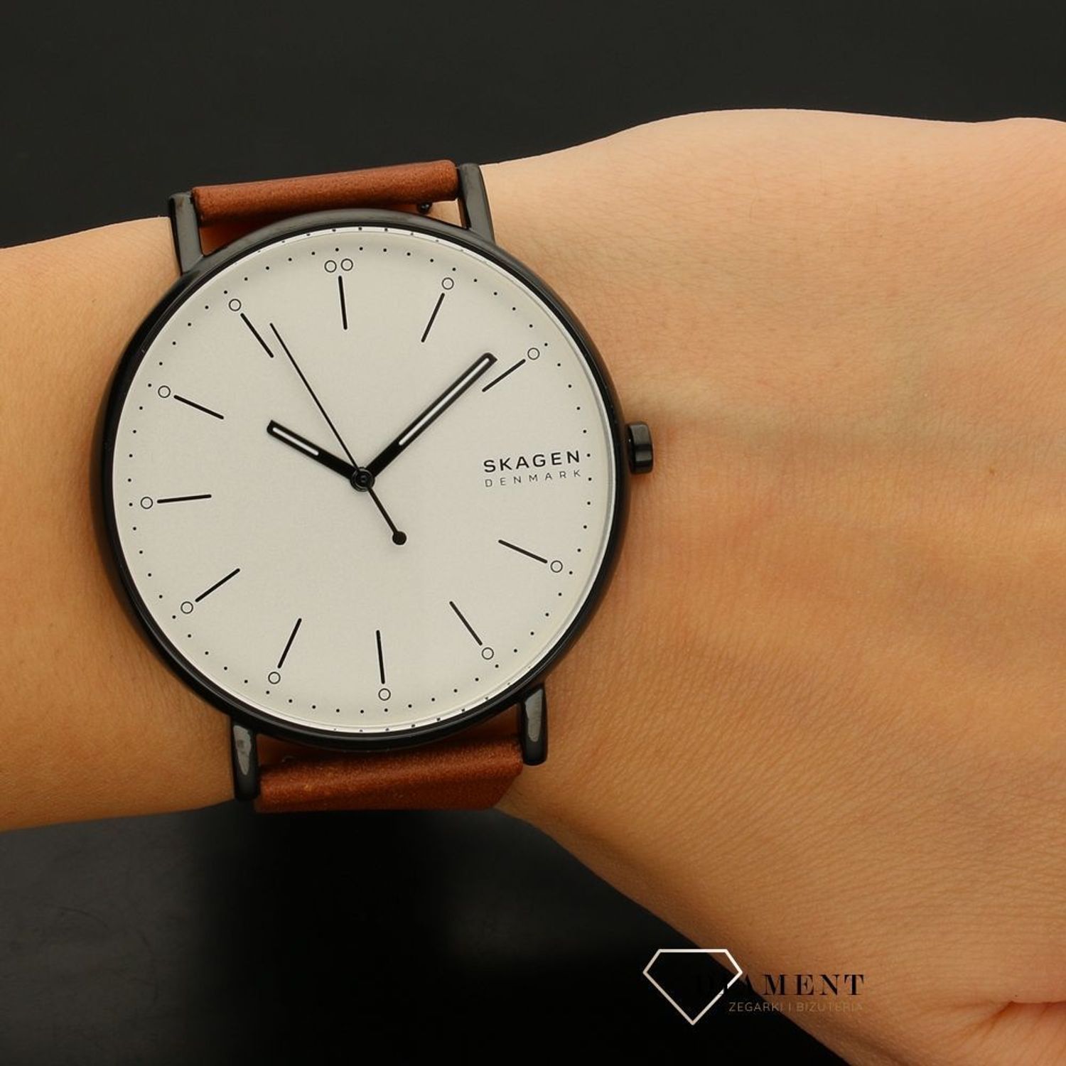 Zegarek męski Skagen Steel SIGNATUR SKW6550 (1).jpg