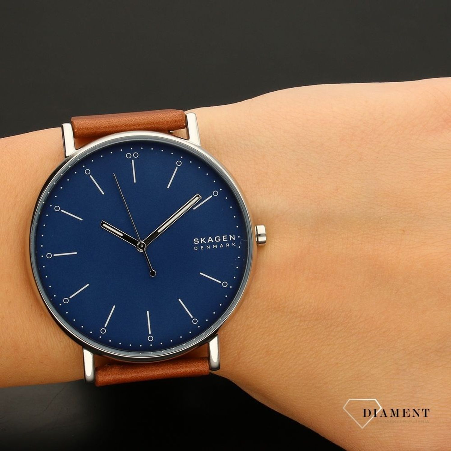 Zegarek męski Skagen Steel SIGNATUR  ✓Męski zegarek.jpg