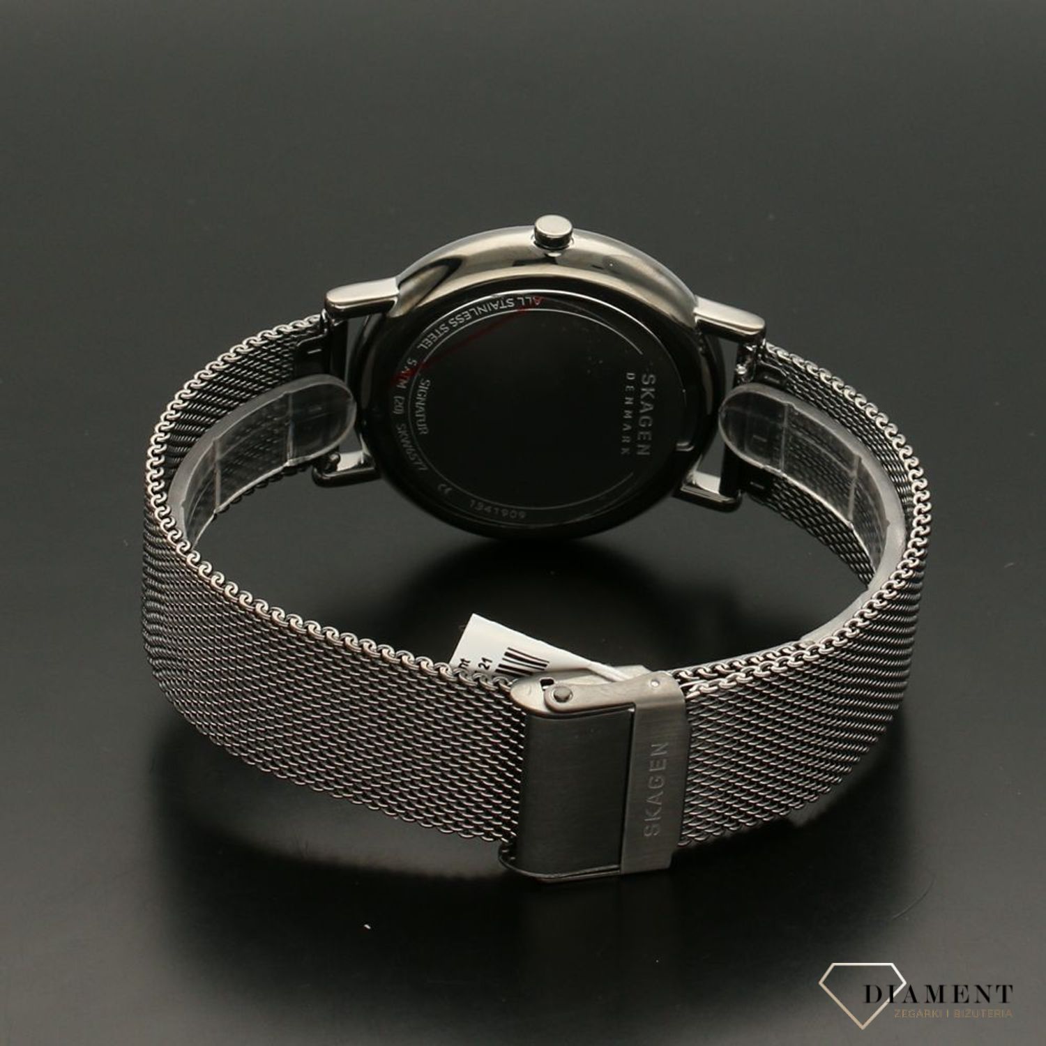 Zegarek męski Skagen SIGNATUR SKW6577.jpg