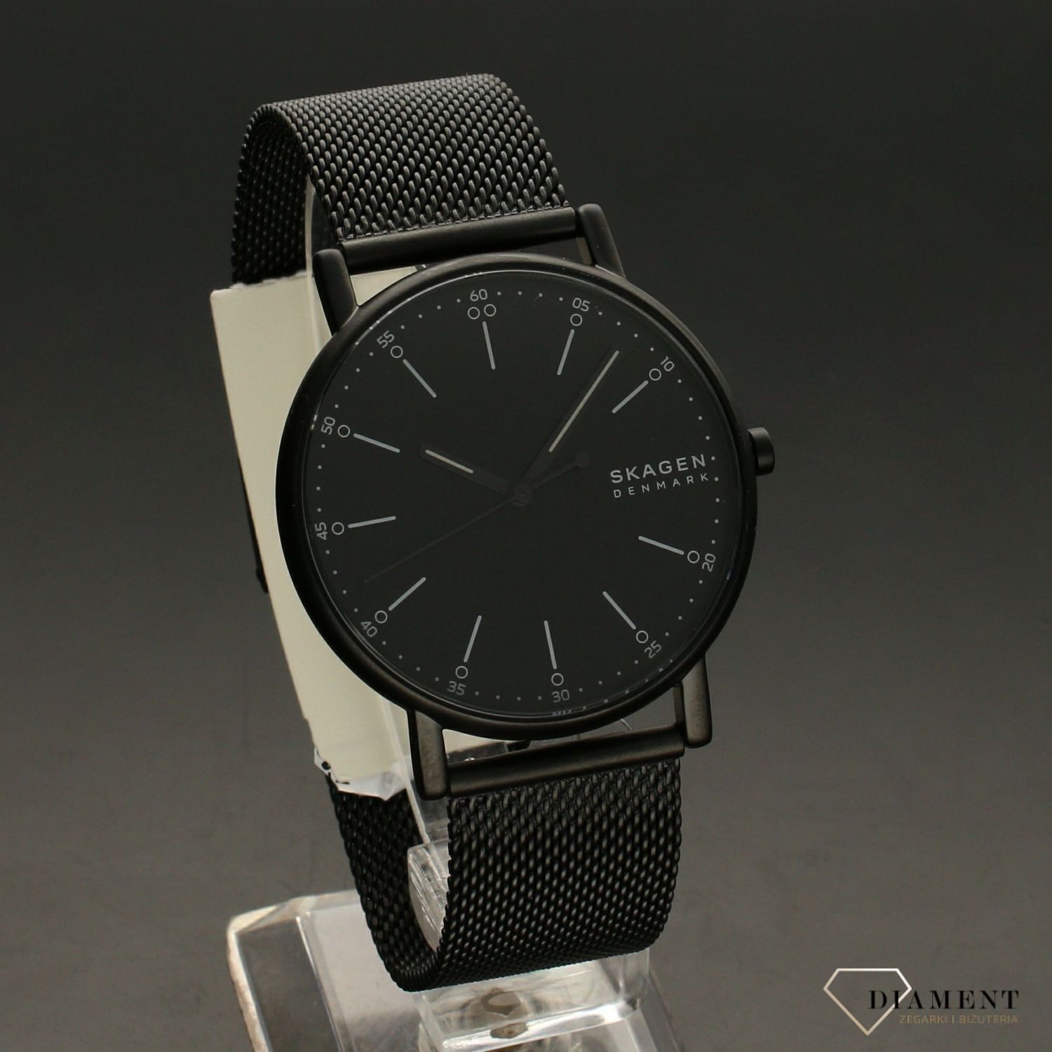 Zegarek męski Skagen SIGNATUR SKW6579.jpg