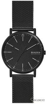 Zegarek męski Skagen SIGNATUR SKW6579.jpg