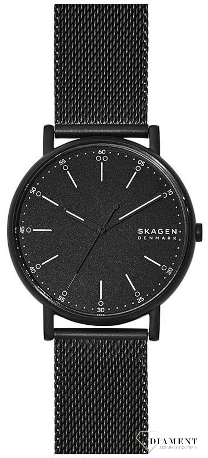 Zegarek męski Skagen SIGNATUR SKW6579.jpg