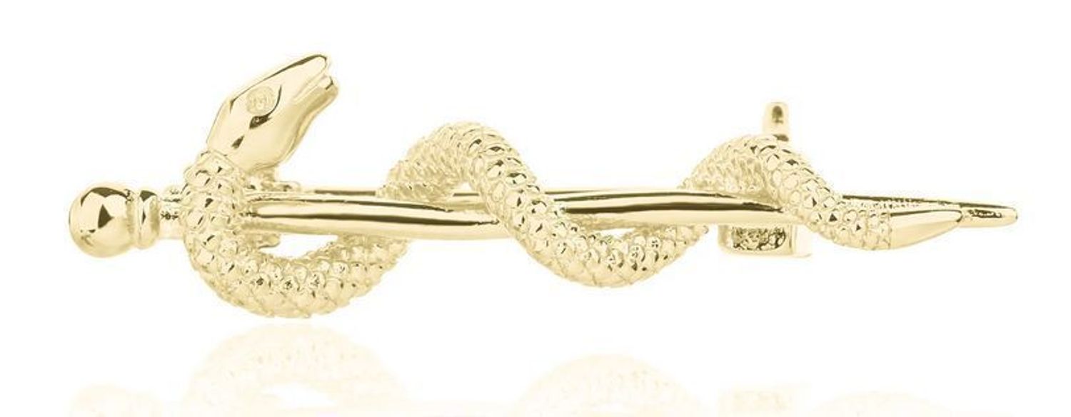 Broszka pozłacana srebrna 925 Esculap grawerowana  SVLD0019XJ6GO00.jpg