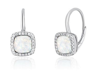 Kolczyki srebrne z opalem otoczonym cyrkoniami SVLE0517SH2O100.jpg