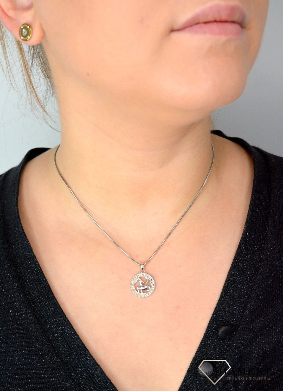 Srebrna zawieszka znak zodiaku Koziorożec SVLP0713XH200KO. Srebrna zawieszka z symbolem znaku zodiaku - KOZIOROŻEC.jpg