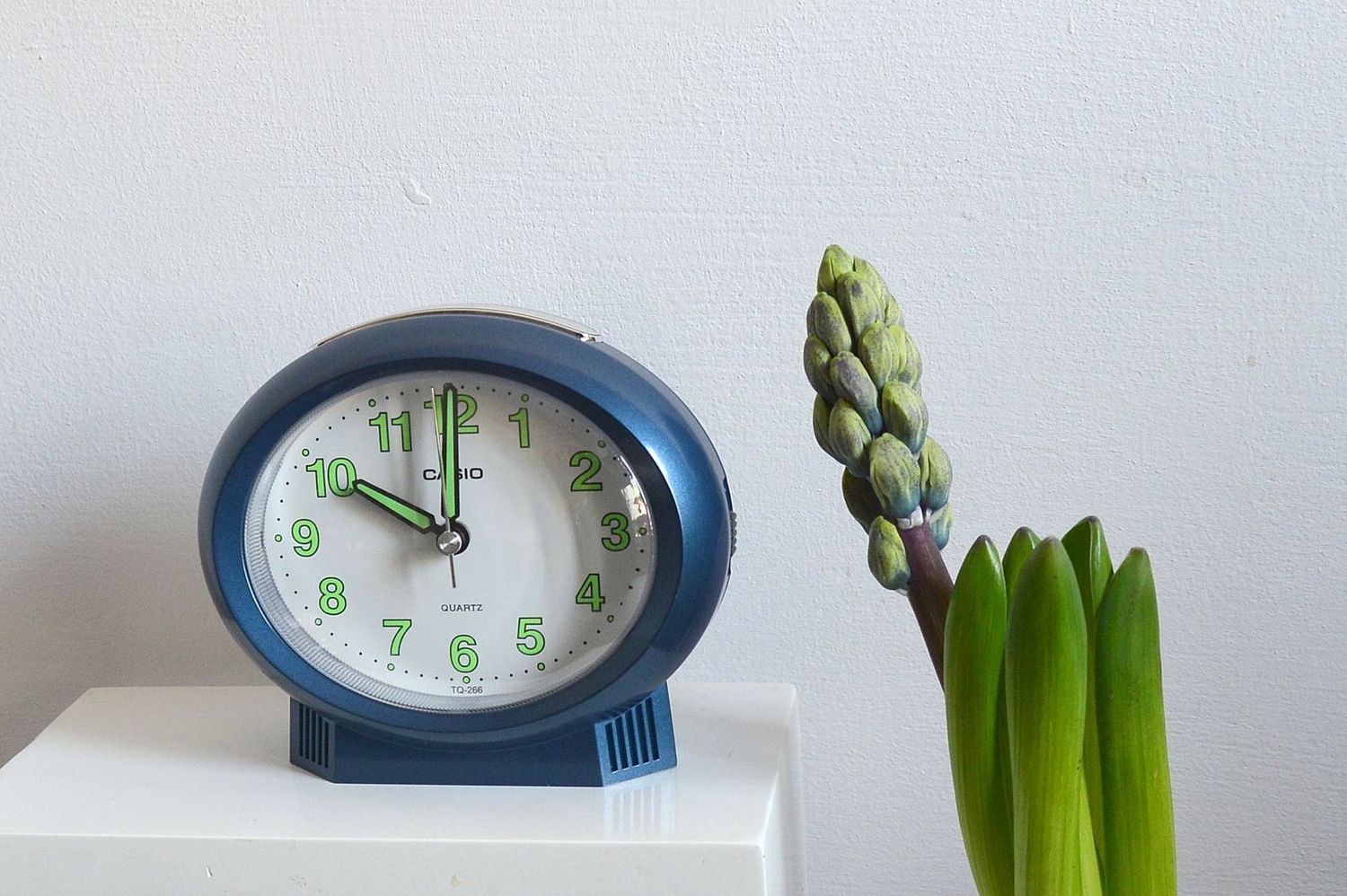 Budzik na baterię CASIO niebieski TQ-266-2EF.jpg