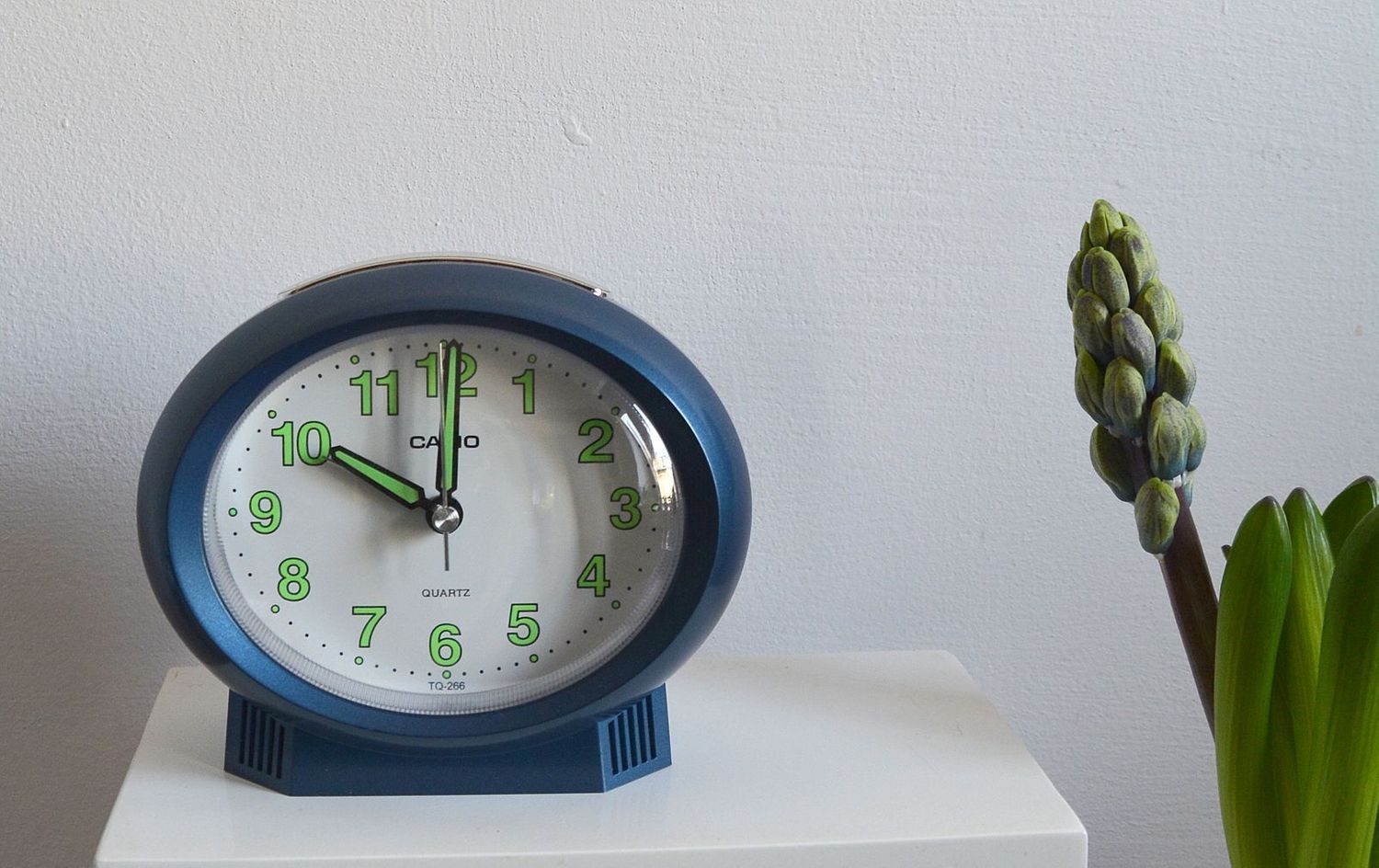 Budzik na baterię CASIO niebieski TQ-266-2EF.jpg