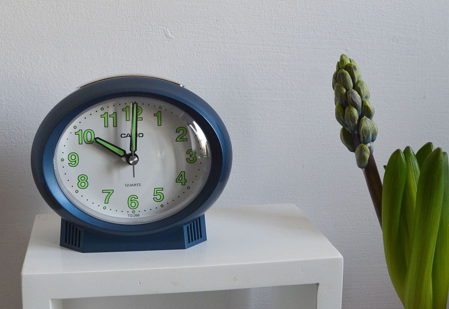 Budzik na baterię CASIO niebieski TQ-266-2EF.jpg