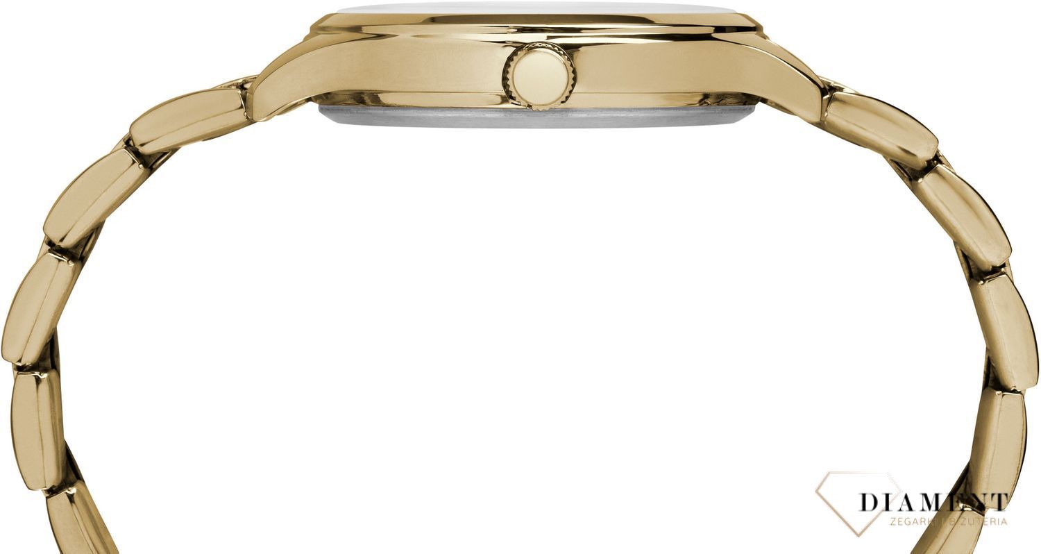 zegarek-damski-timex-timex-classic-tw2r28100-TW2R28100--1.jpg