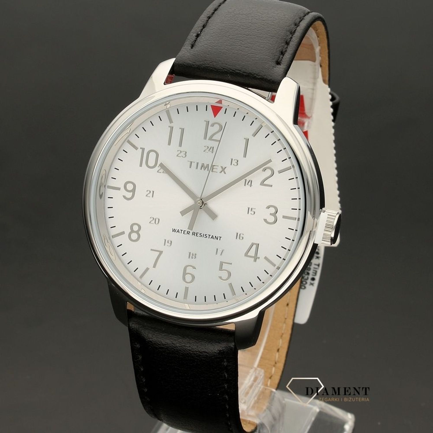 timex tw2r85300