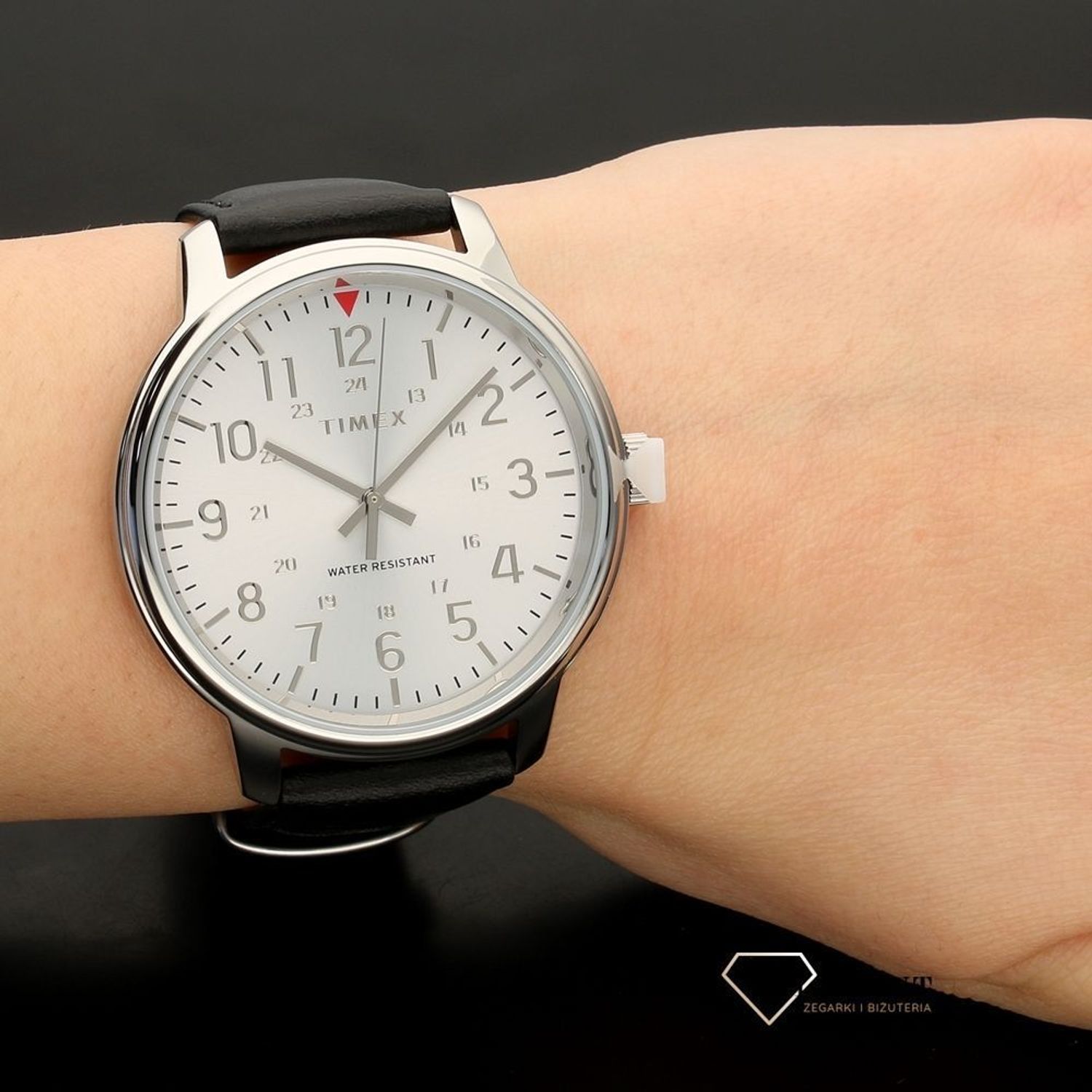 timex tw2r85300