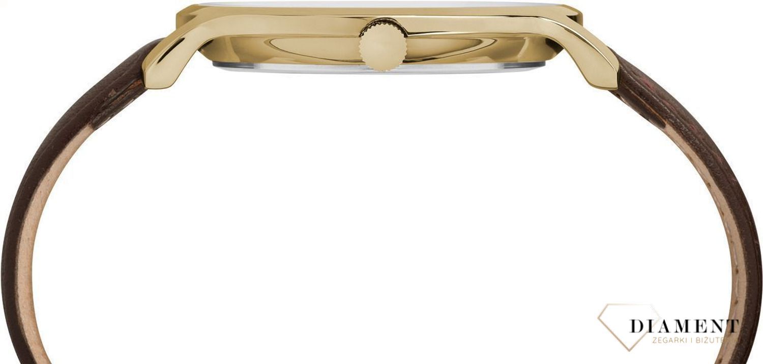 Męski zegarek Timex Classic TW2R92000 Metropolitan (2).jpg