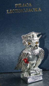 Posrebrzana figurka Sowa Mądra Głowa dla absolwenta, maturzysty 13 cm VR17015. Statuetka sowy w birecie trzymającej dyplom (3).JPG