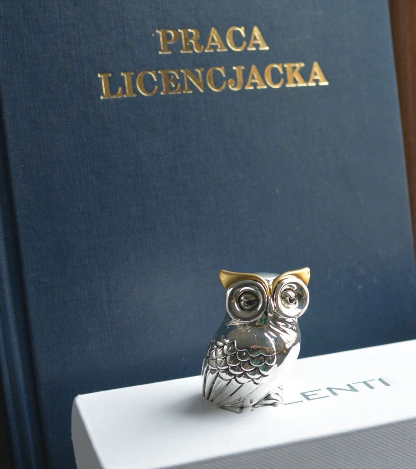 Figurka Sowa na szczęście 7,5 cm VR18140. Figurka sowy to idealny prezent na wszelkie okazje, zaręczyny, złote gody, obchody, lecie, urodziny, rocznice oraz dekorację..jpg