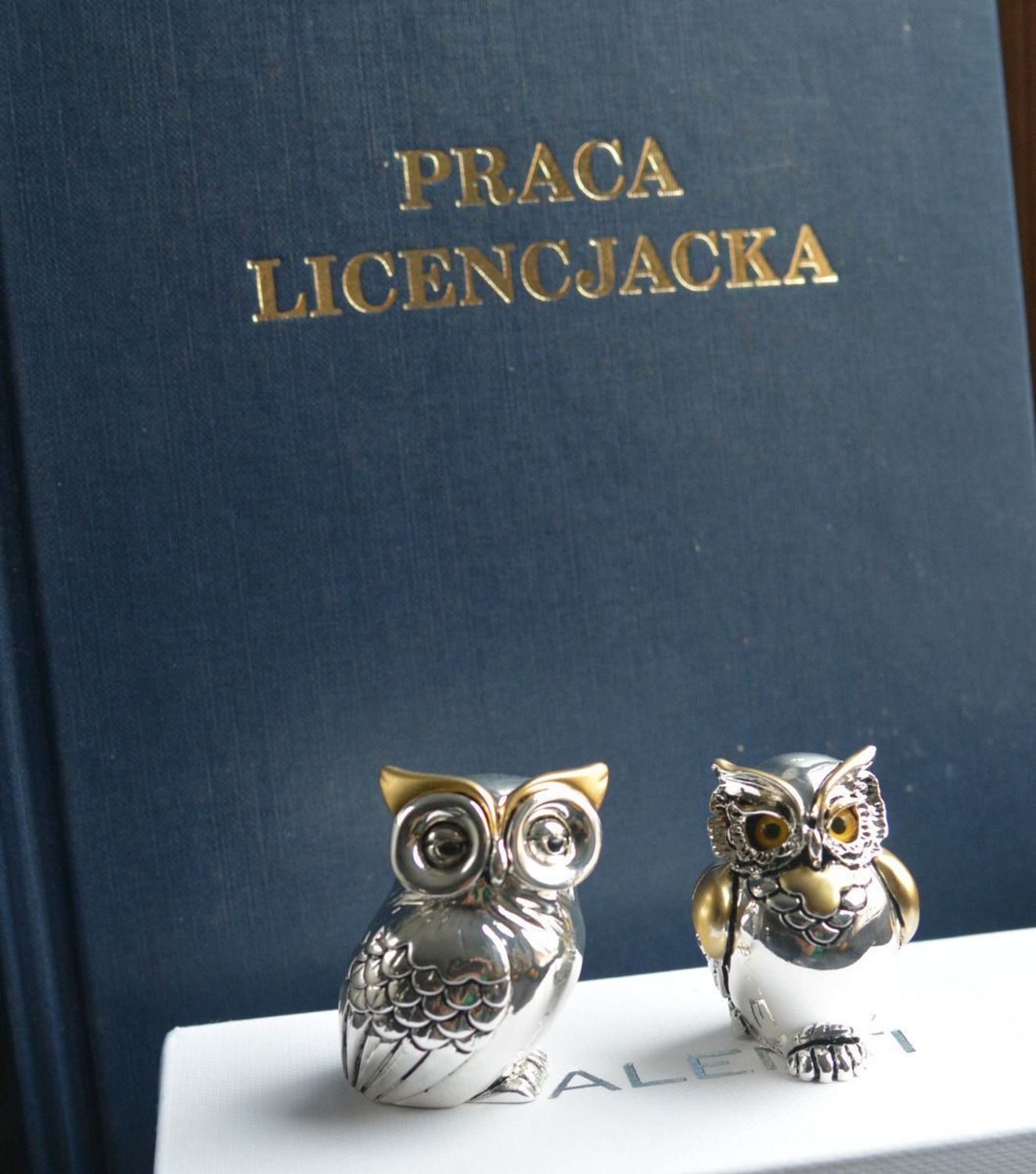 Figurka Sowa na szczęście 7,5 cm VR18140. Figurka sowy to idealny prezent na wszelkie okazje, zaręczyny, złote gody, obchody, lecie, urodziny, rocznice oraz dekorację..jpg