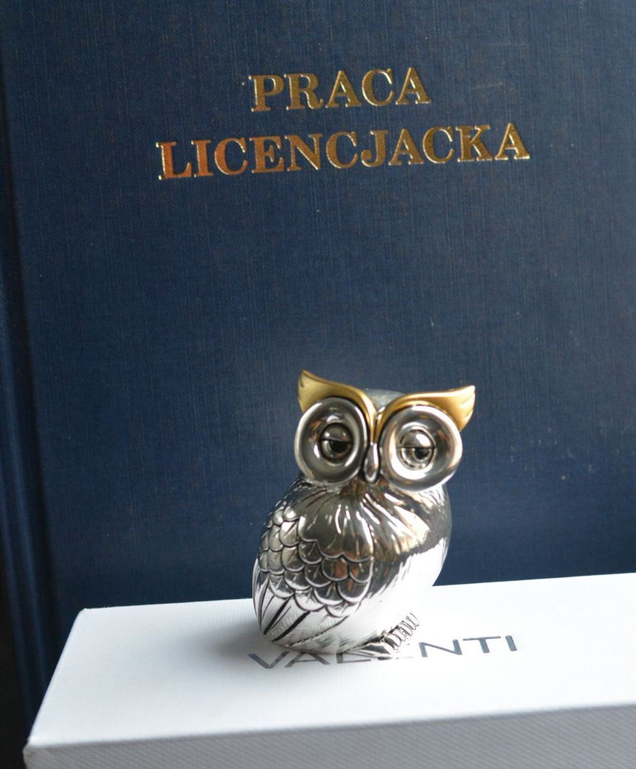 Figurka Sowa na szczęście 5,5cm VR18141. Figurka sowy to idealny prezent na wszelkie okazje, zaręczyny, złote gody, obchody, lecie, urodziny, rocznice oraz dekorację..jpg