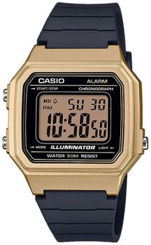 Zegarek męski Casio W-217HM-9AVEF.jpg