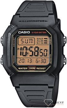 Zegarek męski CASIO Sport W-800HG-9AVEF.jpg