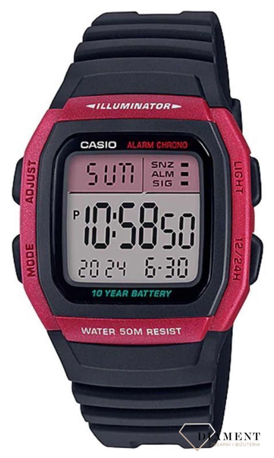 Zegarek męski CASIO Sport W-96H-4AVEF.jpg
