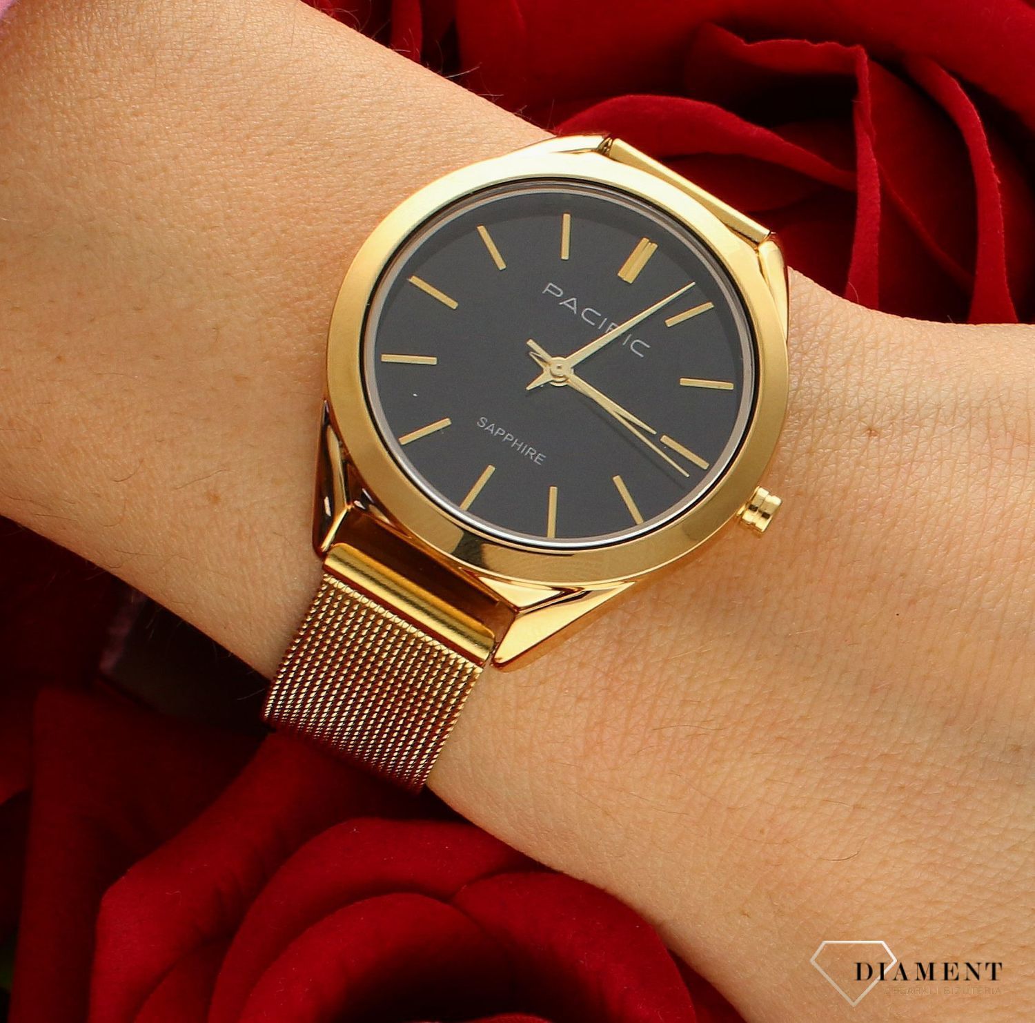 Damski zegarek Pacific Sapphire X6224-03 czarna tarcz złoty mesh.  Kup Damski Zegarek Kwarcowy w Zegarki-diament.pl Pacific wodoszczelność 30m = WR30 ☝ taniej - Najwięcej ofert w jednym miejscu. Grawer gratis. Szkło szafirowe..jpg