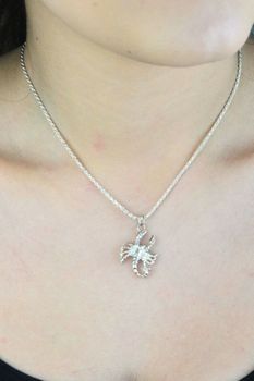 Srebrna zawieszka Skorpion 925 znak zodiaku na prezent (1).jpg