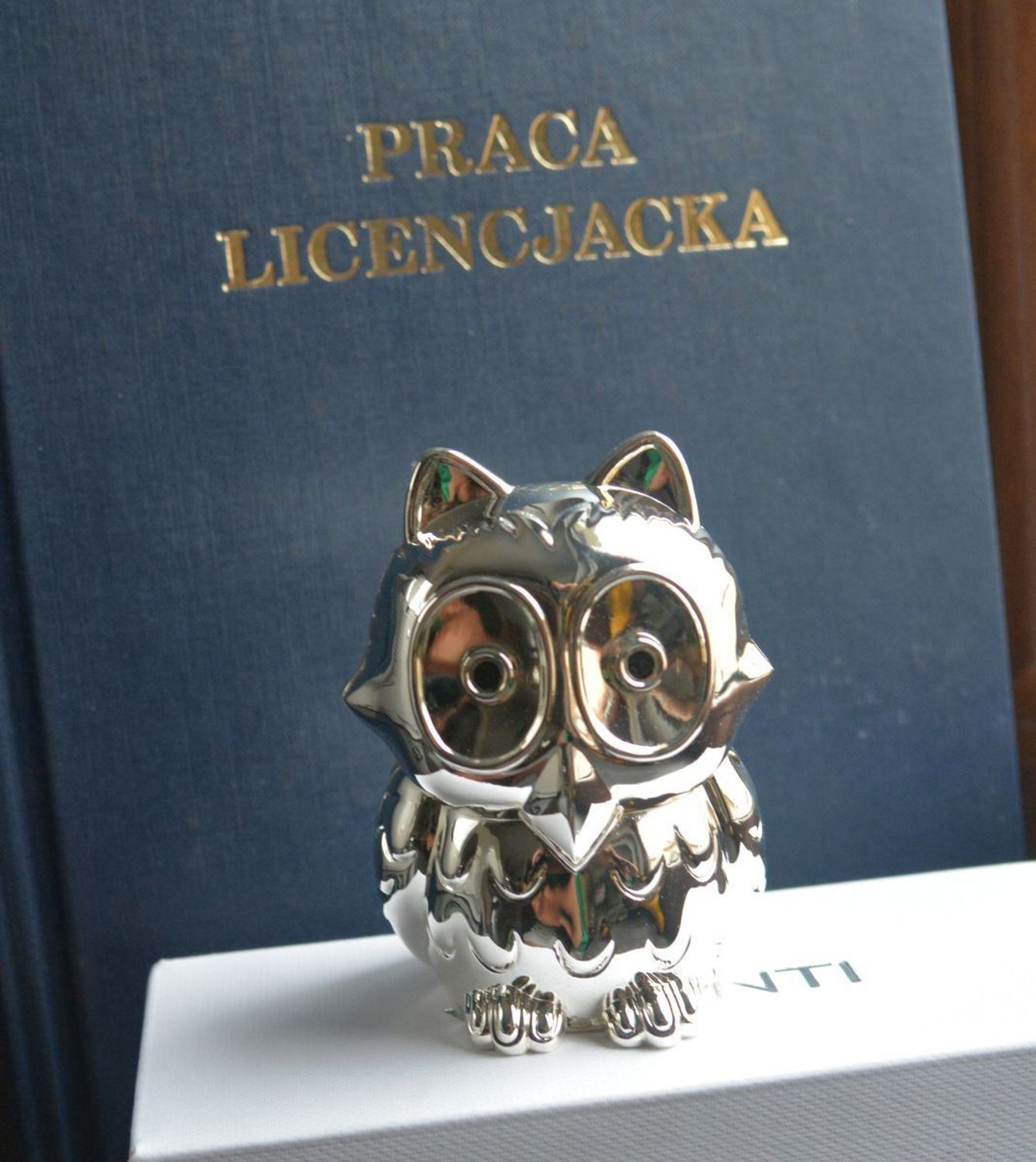 Posrebrzana skarbonka Sowa 9,5 cm ZV8111261. Skarbonka sowa na prezent. Sówka skarbonka na chrzest, rocznicę, do salonu. Upominek w formie sowy.  Pomysł na prezent..jpg