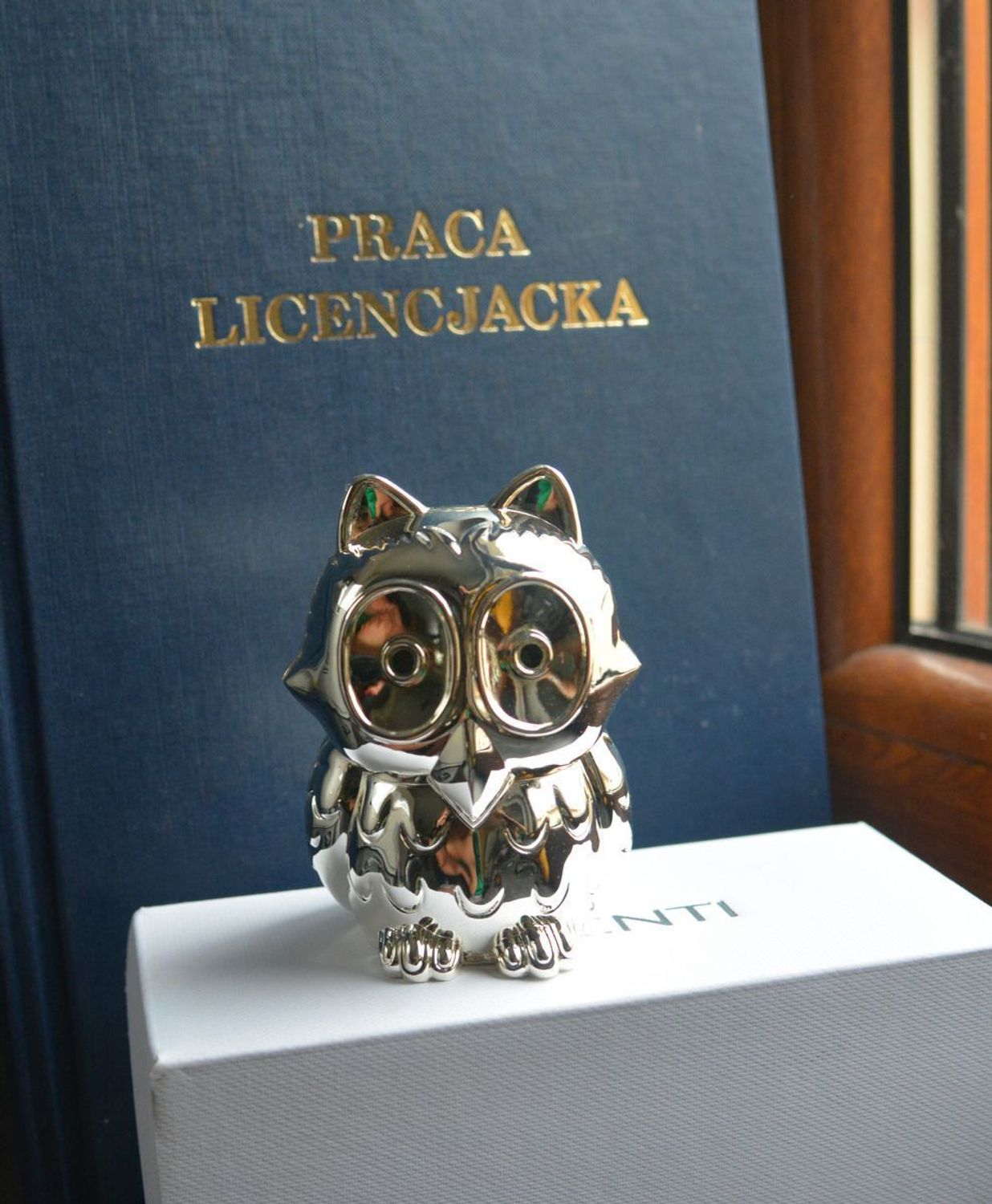 Posrebrzana skarbonka Sowa 9,5 cm ZV8111261. Skarbonka sowa na prezent. Sówka skarbonka na chrzest, rocznicę, do salonu. Upominek w formie sowy.  Pomysł na prezent..jpg